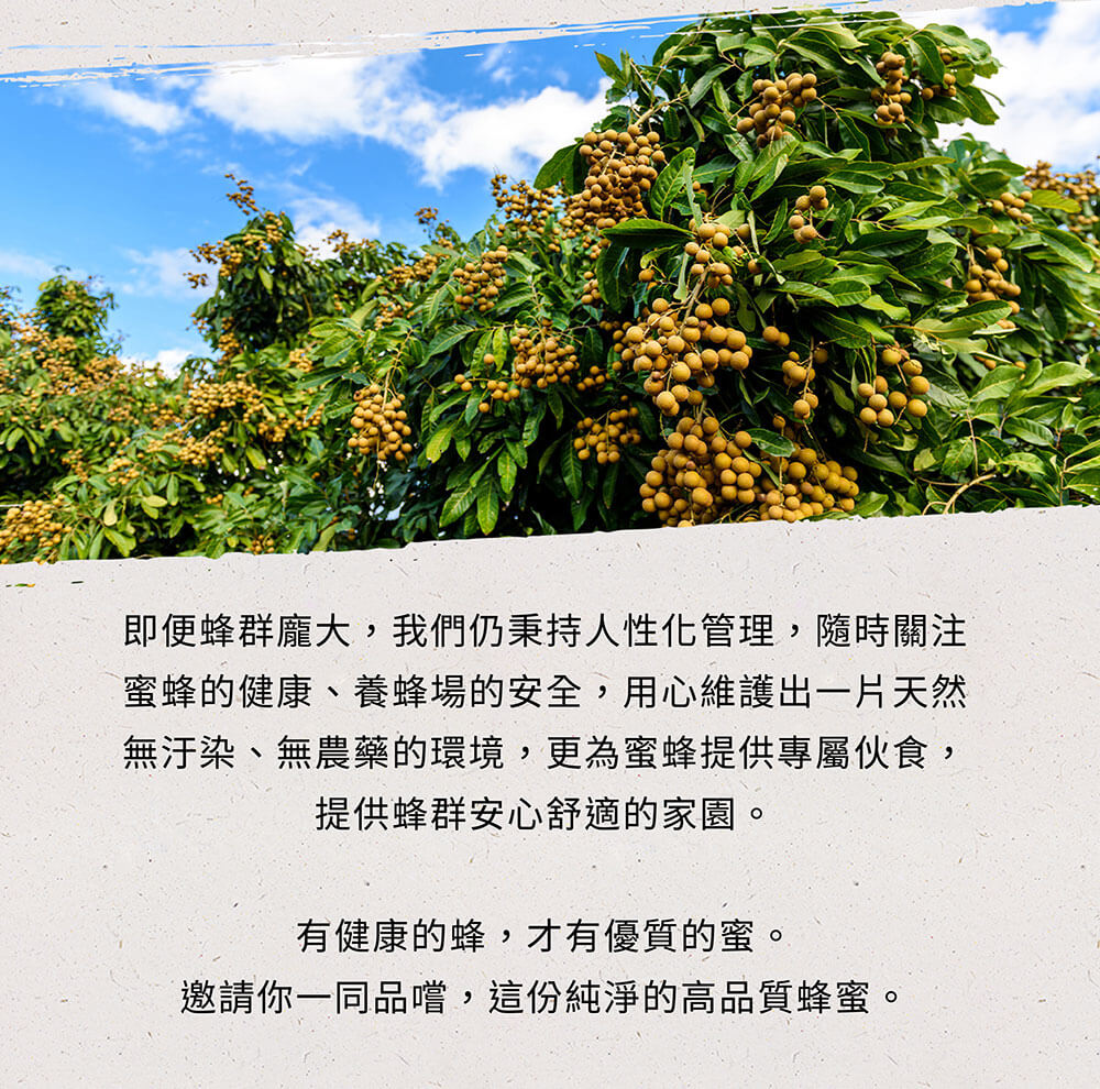 清邁金賞龍眼花蜜