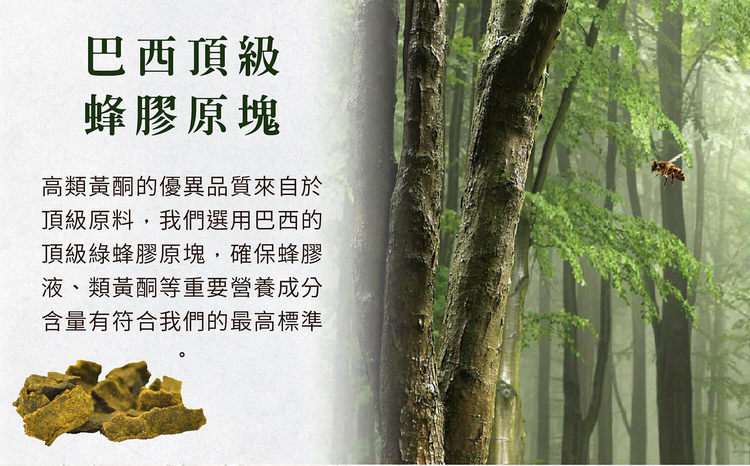 巴西頂級蜂膠原塊