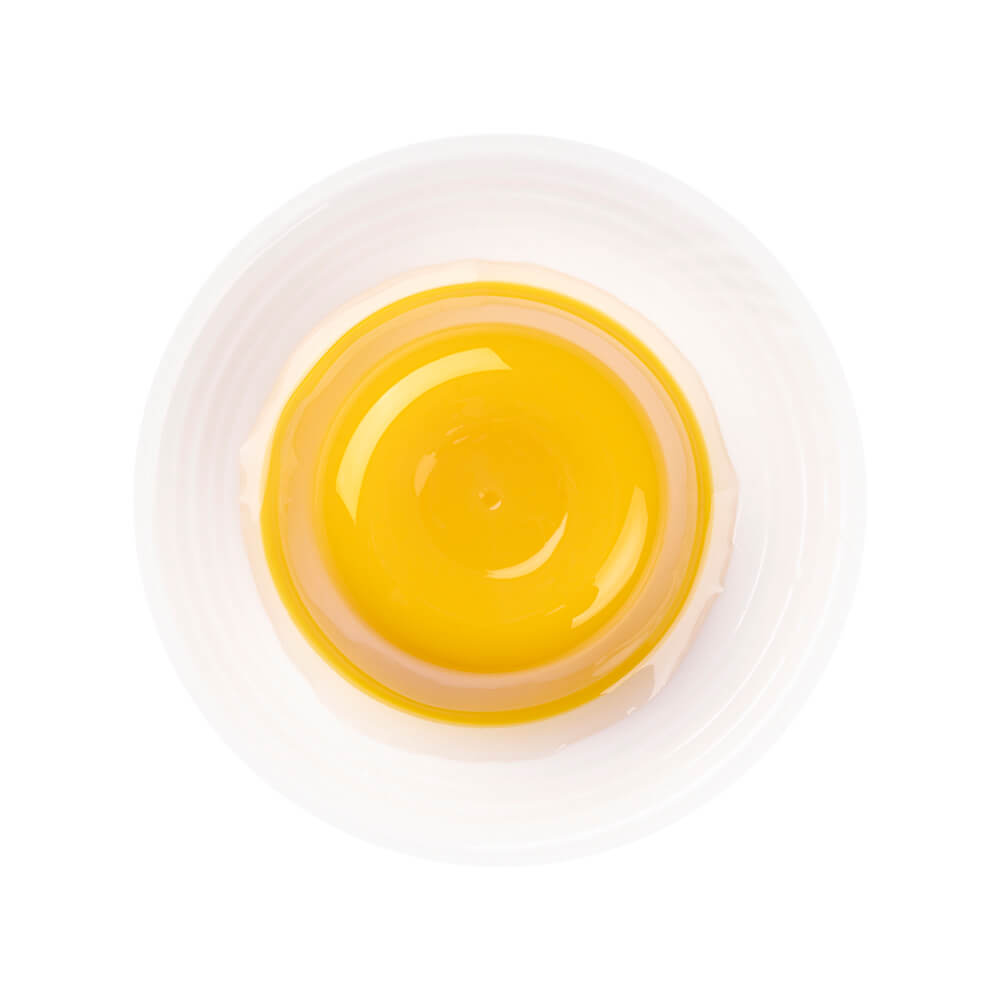 百花蜜芒果布丁